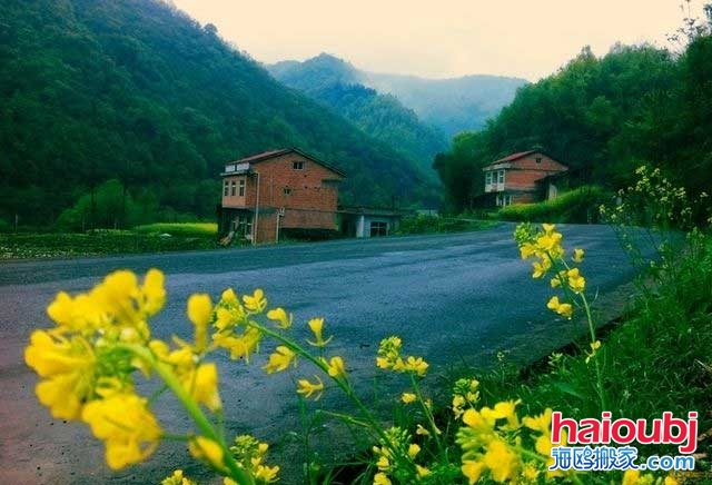 多虧鄉(xiāng)下婆婆來照顧兒媳，才知道家具甲醛超標(biāo)兒子決定搬家啦.jpg