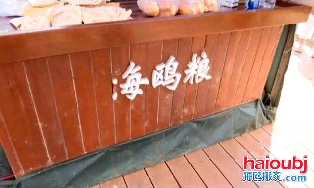 昆明海鷗搬家稱一老板返鄉(xiāng)探病，留下鷗糧供游客投喂結(jié)果出乎意料.jpg