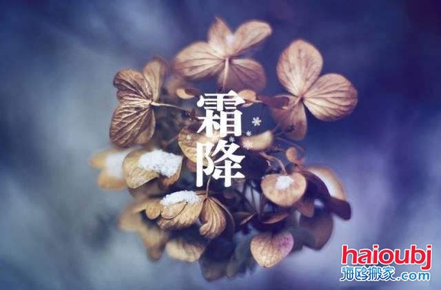 2019年霜降的第二天可以搬家嗎，如果搬家需要注意些什么？.jpg